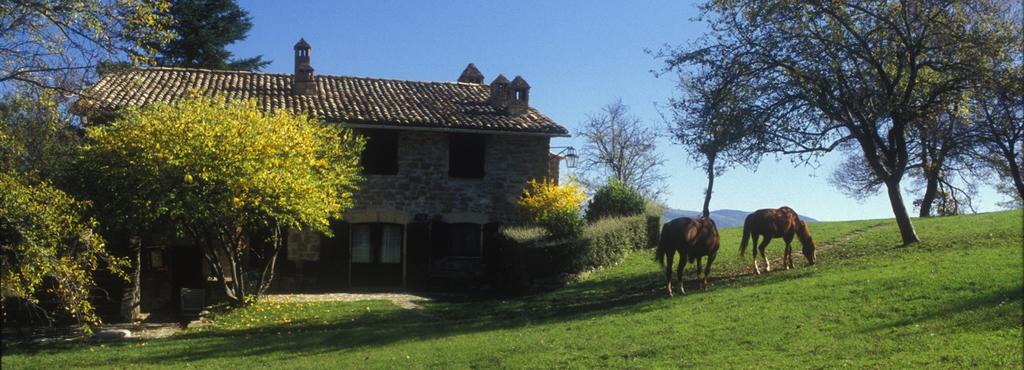 Le Silve Di Armenzano Hotel Assisi Exterior foto